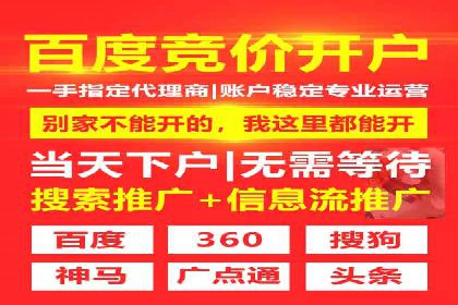 百度推广实战：成功企业的营销策略